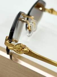 Picture of Cartier Sunglasses _SKUfw79280605fw